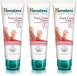 Himalaya Lábkrém Himalaya Hidratáló, Simító, Sarokápoló, Antibakteriális 75g 3db (318001659)