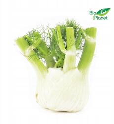  Gyűjtőcsomagolás (kg) Koper Olasz Friss (fenkul) Bio (kb. 5 kg (5902175866724)