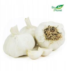  Fokhagyma friss bio kb. 5 kg (5907814661777)