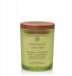 Chesapeake Bay Awaken & Invigorate Gyertya kicsi 96 gr (10.PT408.085E)