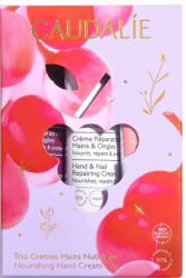 Caudalie Подхранващ комплект за ръце и нокти, 3 части - baby