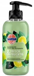 Sagrotan Folyékony szappan Sagrotan 0, 3 l (4251758417787)