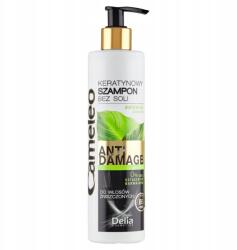 Delia Cosmetics Cameleo Sómentes keratinos sampon 250ml (5901350442692)