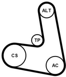 Continental Ctam Set curea transmisie cu caneluri CONTINENTAL CTAM 6PK1153K7 (6PK1153K7)