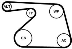 Continental Ctam Set curea transmisie cu caneluri CONTINENTAL CTAM 6PK1325K1 (6PK1325K1)