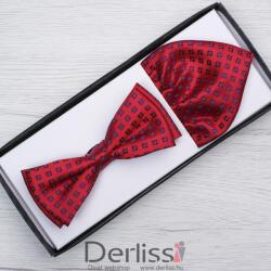  Csokornyakkendő díszzsebkendővel piros, apró kék minta