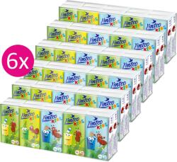 Linteo Kids, 6× 10× 10db