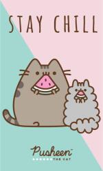 Carbotex Pusheen Stay Chill kéztörlő, arctörlő, törölköző 30x50 cm (PTC213014-R35_20240321141846)