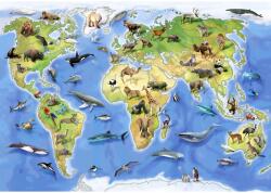 DEGRETS Fotótapéta DEGRETS 83378 Világtérkép - Állatok 2, 184x254cm (83378)