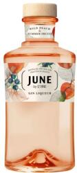  JUNE by G'VINE Gin Wild Peach & Summer Fruits [0, 7L|37, 5%]