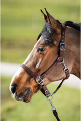 HFI Nylon kötőfék és kötél ló számára HFI Néoprène Smart nagyló barna