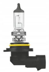 NEOLUX Izzó (Karton 1db) HB4 12V 51W P22D