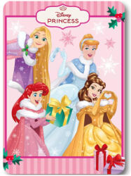 Disney Hercegnők Festive Fairy Karácsonyi polár takaró, pléd 100x140 cm Nr1