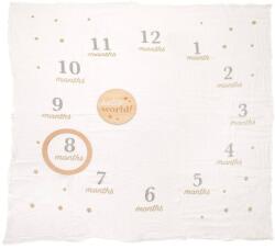 Pearhead Paturica aniversara si milestone nastere Pearhead (PH75058)