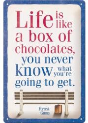 Nostalgic Art Germany Placă metalică 20 x 30 - Forrest Gump - Chocolate - Forest Gump Cutia de Ciocolata (2315)