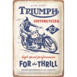 Nostalgic Art Germany Placă metalică 20 x 30 - Triumph For The Thrill - Triumph pentru amatori de senzații tari (2663)