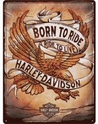 Nostalgic Art Germany Placă 30 x 40 - Harley Davidson - Born To Ride Eagle - Nascut pentru Drum (2152)