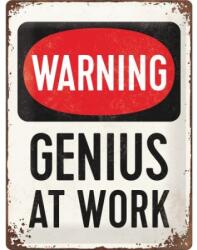 Nostalgic Art Germany Placă metalică 30 x 40 - Warning Genius At Work - Avertisment: Geniu la Munca (1004)