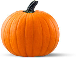 N&D Dog Grain Free Adult Mini sütőtök, tőkehal & narancs 2.5kg