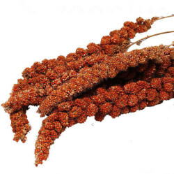 Alpha-Vet Dolly fürtös köles madaraknak 100g