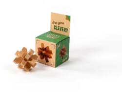 Recent Toys Mennyire vagy okos? logikai játék (RT5125-4) - kreativjatek