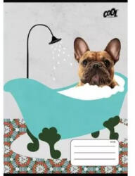 Bath: A5-ös vonalas füzet, 2. osztályos - 16-32 - többféle