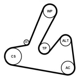 Continental Ctam Set curea transmisie cu caneluri CONTINENTAL CTAM 6PK1250K1 (6PK1250K1)