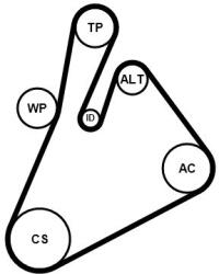 Continental Ctam Set curea transmisie cu caneluri CONTINENTAL CTAM 7PK1377K1 (7PK1377K1)