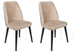 ASIR GROUP Étkezőszék szett (2 db) Alfa -434 V2 (974NMB1632)
