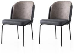 ASIR GROUP Étkezőszék szett (2 db) Dore - 168 V2 (974NMB1868)