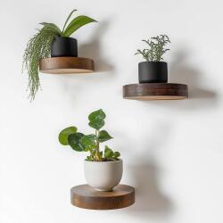 AG Fali polc Raf283 (792EVL2936)