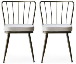 ASIR GROUP Étkezőszék szett (2 db) Yıldız - 985 V2 (974NMB1189)