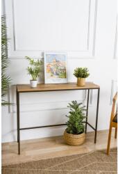 AG Konzolasztal Canvas - Atlantic Pine (706CLN1111)