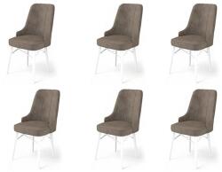 ASIR GROUP Étkezőszék szett (6 db) Pare - Cappuccino, Fehér (240CHR1523)