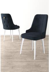 ASIR GROUP Étkezőszék szett (2 db) Newa - Antracit, Fehér (240CHR1632)