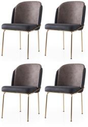 ASIR GROUP Étkezőszék szett (4 db) Dore - 132 V4 (974NMB1867)