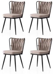 ASIR GROUP Étkezőszék szett (4 db) Kuşaklı - 222 V4 (974NMB1900)