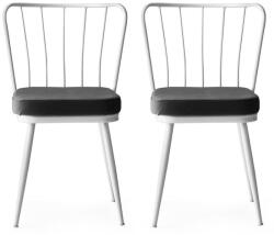 ASIR GROUP Étkezőszék szett (2 db) Yıldız - 962 V2 (974NMB1187)