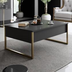 ASIR GROUP Dohányzóasztal Luxe - Anthracite, Gold (618BLY1121)
