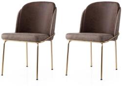 ASIR GROUP Étkezőszék szett (2 db) Dore - 127 V2 (974NMB1856)