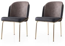 ASIR GROUP Étkezőszék szett (2 db) Dore - 132 V2 (974NMB1866)