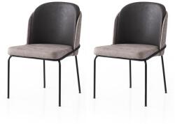 ASIR GROUP Étkezőszék szett (2 db) Dore - 196 V2 (974NMB1880)