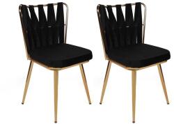 ASIR GROUP Étkezőszék szett (2 db) Kuşaklı-211 V2 (974NMB1679)