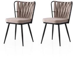 ASIR GROUP Étkezőszék szett (2 db) Kuşaklı - 222 V2 (974NMB1899)