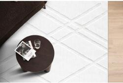 AG Szőnyeg (160 x 230), 58649A Silva - Fehér (961ELT1959)