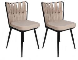 ASIR GROUP Étkezőszék szett (2 db) Kuşaklı-221 V2 (974NMB1681)