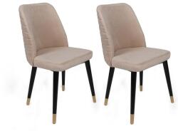 ASIR GROUP Étkezőszék szett (2 db) Hugo-367 V2 (974NMB1670)