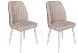 ASIR GROUP Étkezőszék szett (2 db) Alfa-495 V2 (974NMB1647)