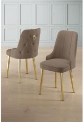 ASIR GROUP Étkezőszék szett (2 db) Newa - Cappuccino, Arany (240CHR1573)