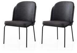 ASIR GROUP Étkezőszék szett (2 db) Dore - 195 V2 (974NMB1878)